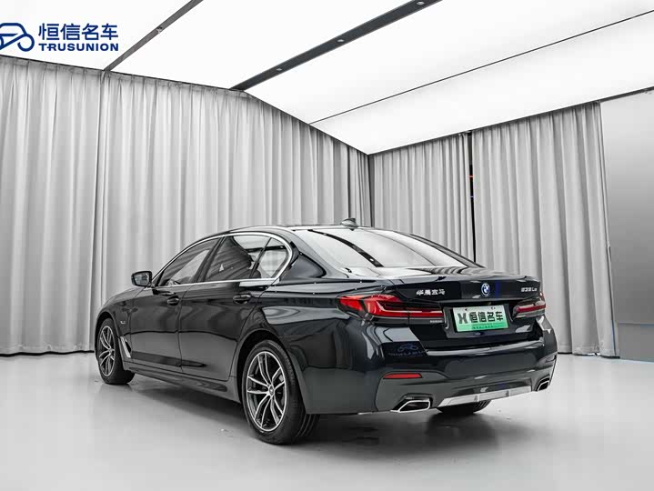 Фото 6 - BMW 5 Series Hybrid