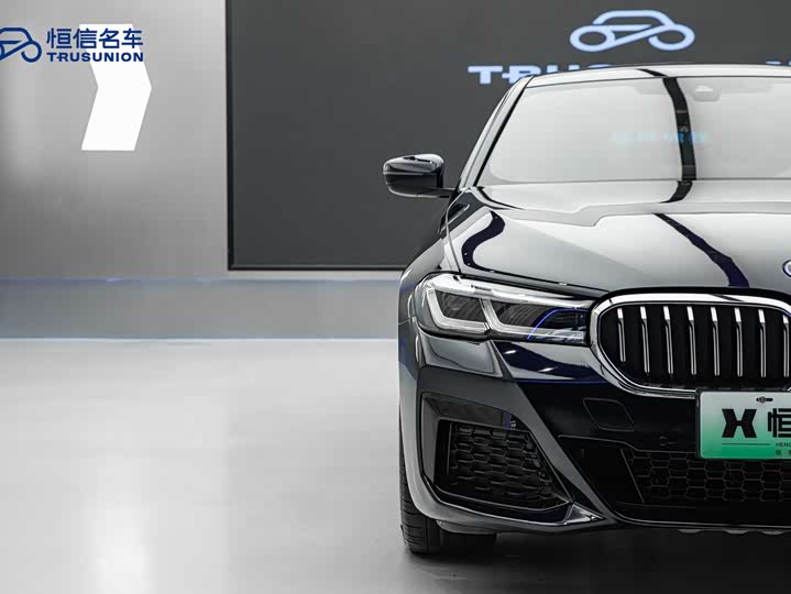 Фото 8 - BMW 5 Series Hybrid