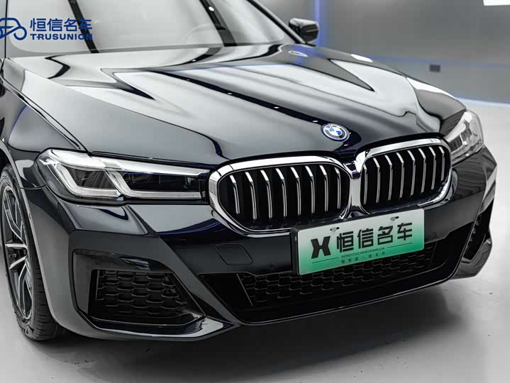 Фото 9 - BMW 5 Series Hybrid