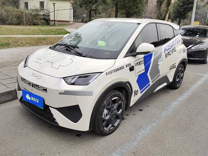 Фото 1 - BYD Seagull