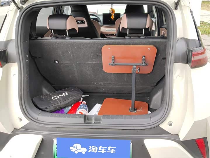 Фото 4 - BYD Seagull