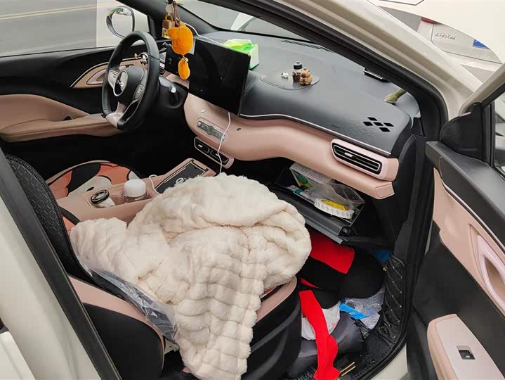 Фото 8 - BYD Seagull