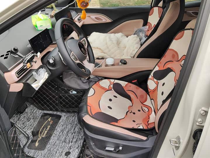 Фото 9 - BYD Seagull