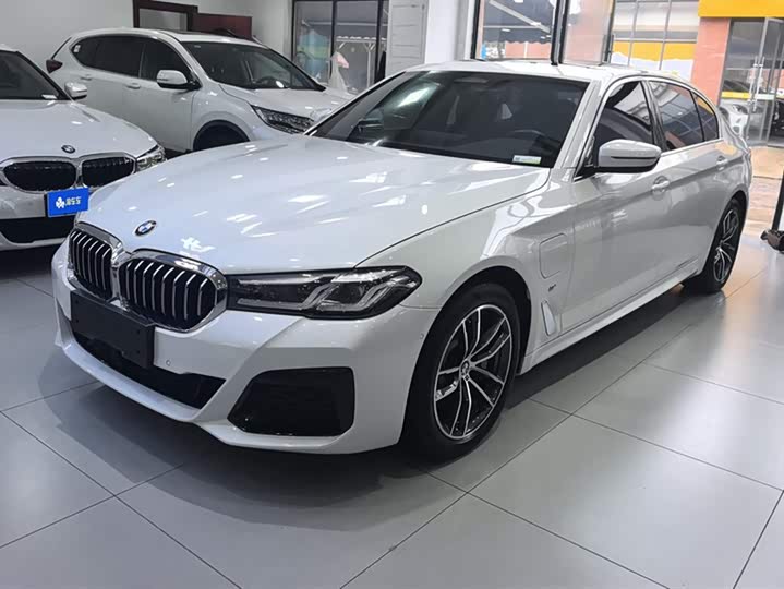 Фото 1 - BMW 5 Series Hybrid