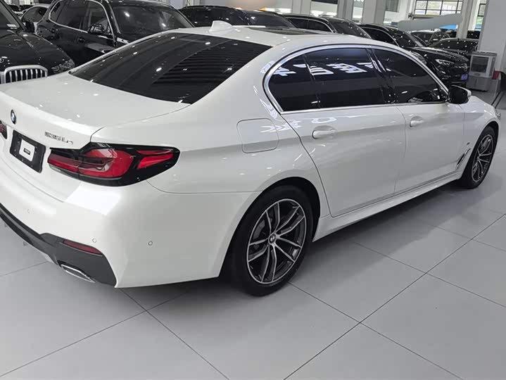 Фото 3 - BMW 5 Series Hybrid