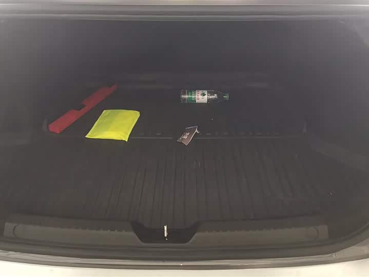 Фото 4 - GAC Trumpchi Empow R