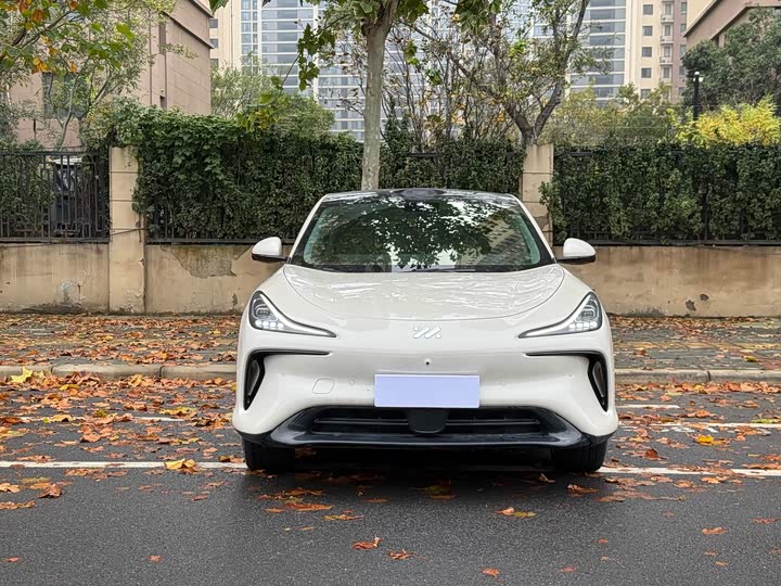 Фото 2 - IM motors LS6