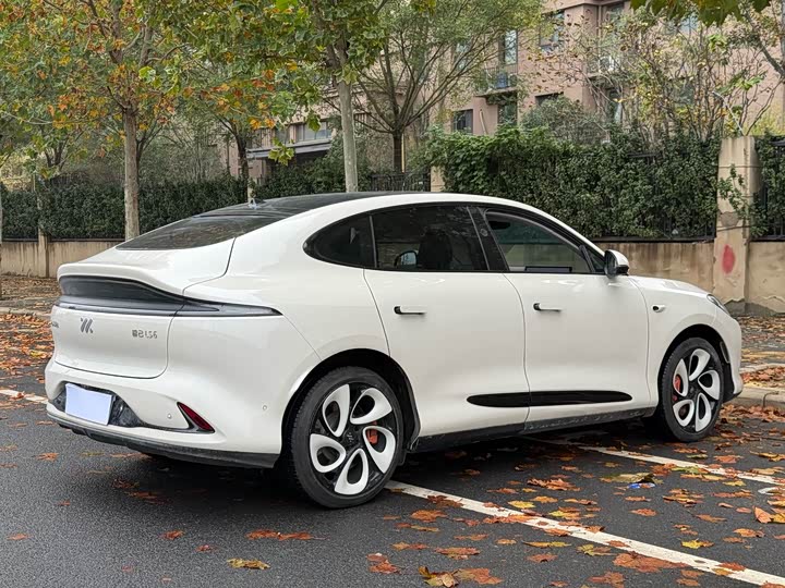 Фото 7 - IM motors LS6