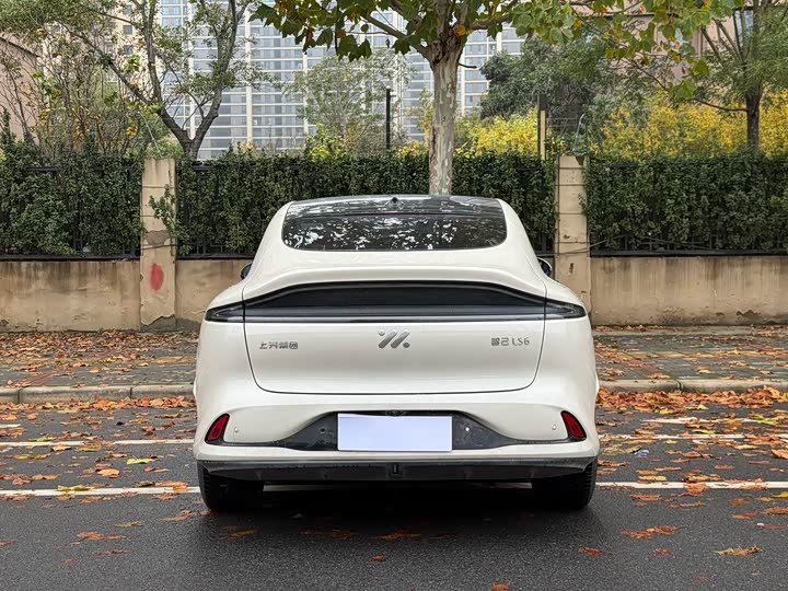 Фото 8 - IM motors LS6