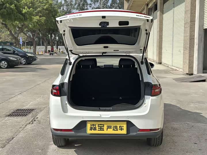 Фото 7 - Hozon AYA