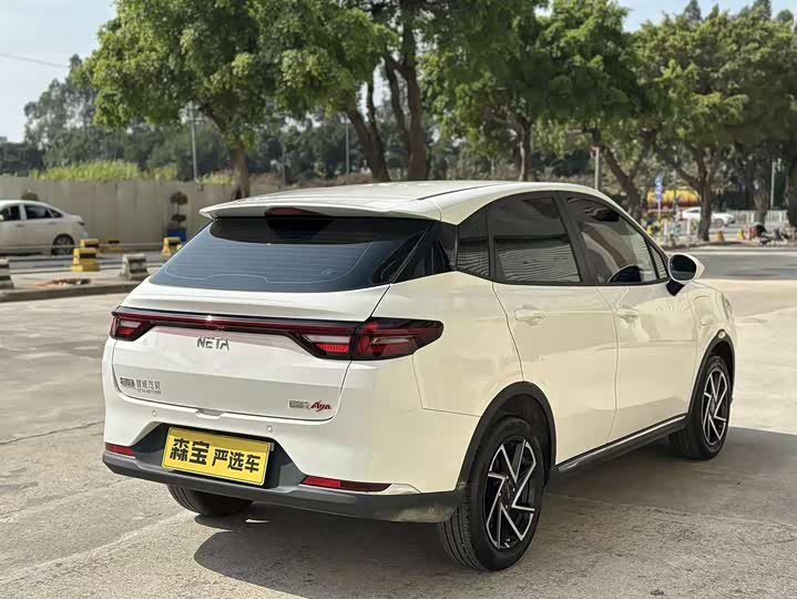 Фото 8 - Hozon AYA