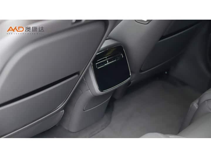 Фото 9 - Denza Z9