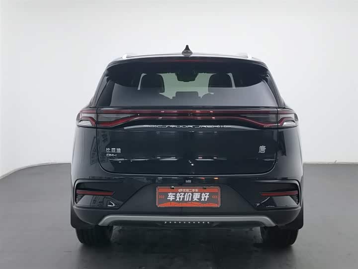 Фото 4 - BYD Tang Hybrid/EV