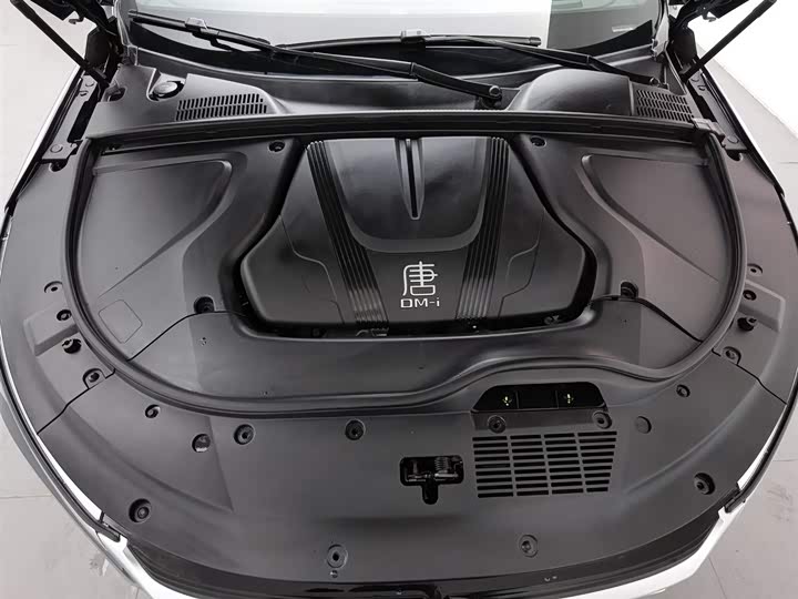 Фото 6 - BYD Tang Hybrid/EV