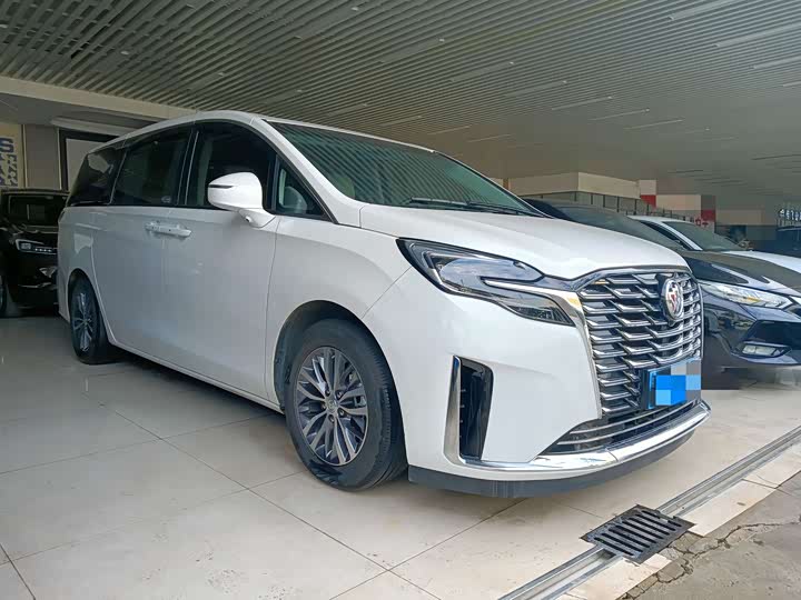 Фото 3 - Buick GL8 ES