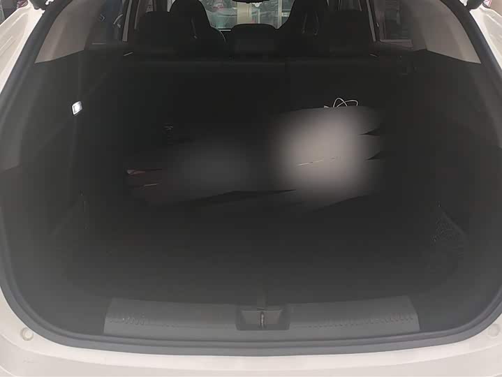 Фото 4 - Roewe D5X DMH