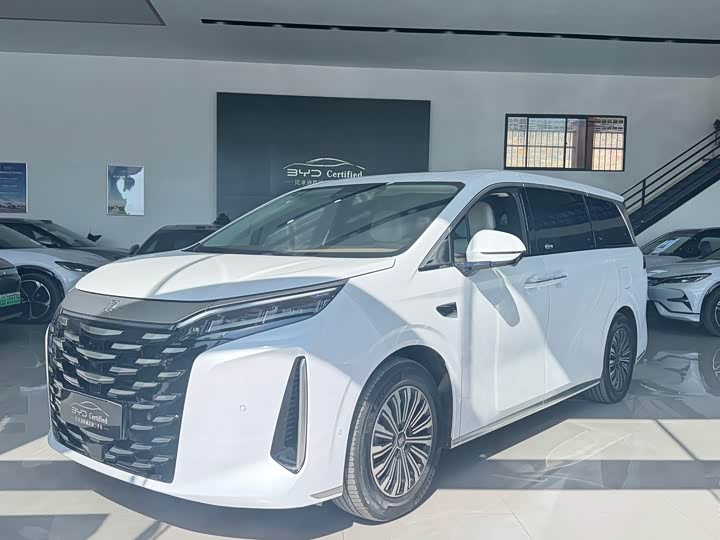 Фото 1 - BYD Xia