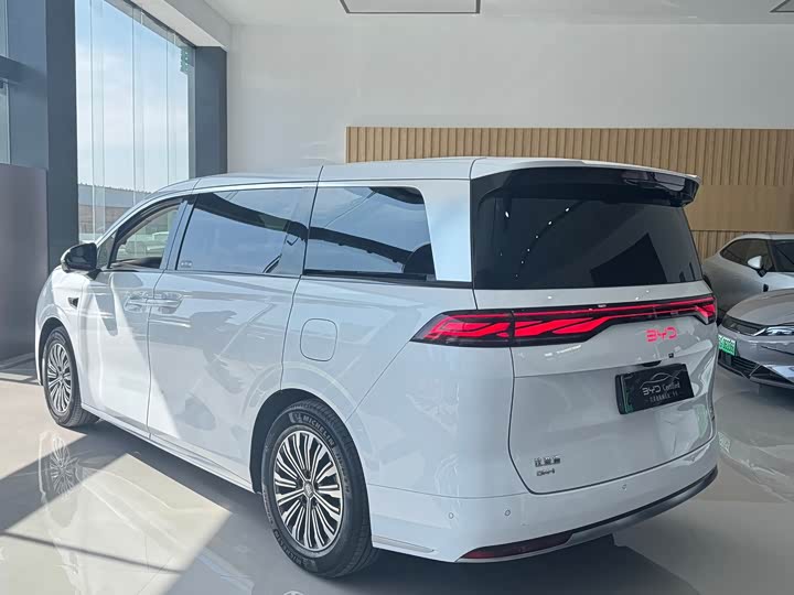 Фото 4 - BYD Xia