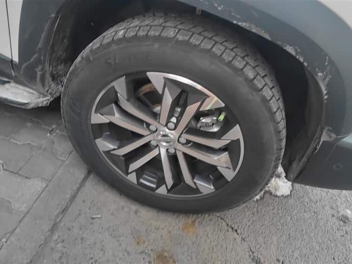 Фото 6 - Haval Dargo