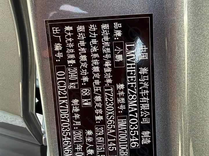 Фото 9 - XPeng G3