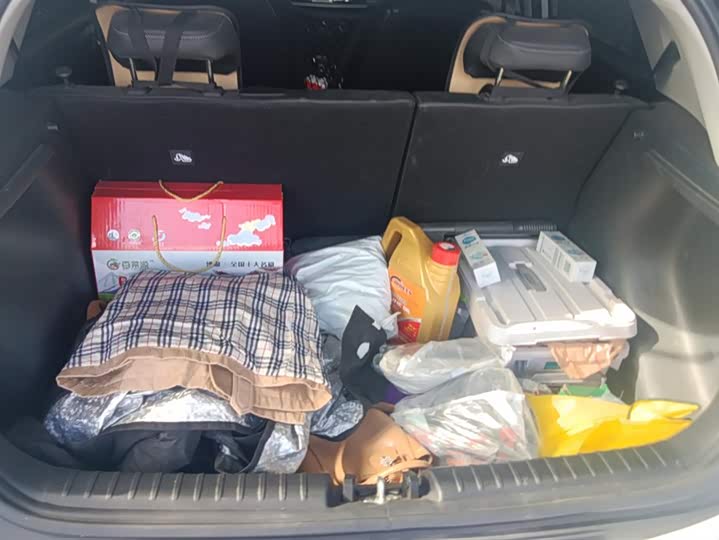 Фото 4 - Kia KX1