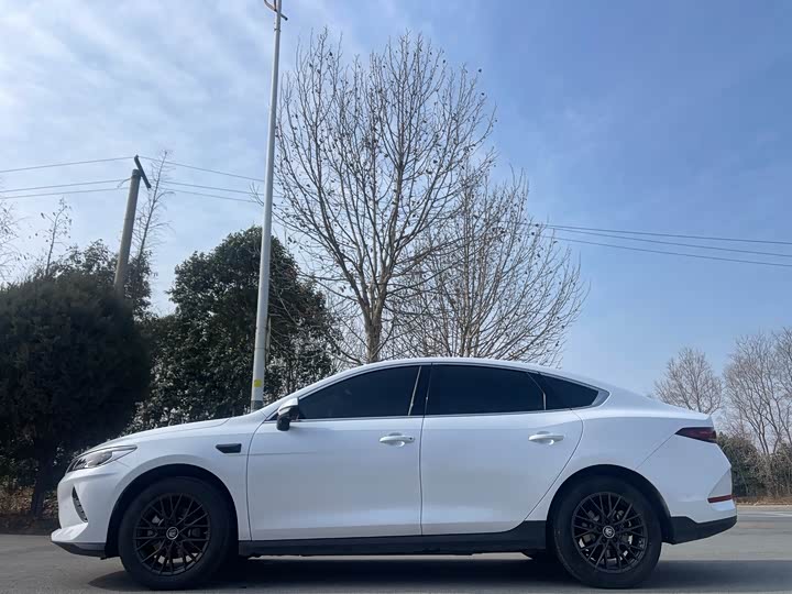 Фото 4 - BYD Qin Plus