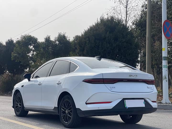 Фото 5 - BYD Qin Plus