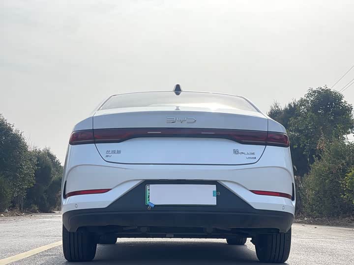 Фото 6 - BYD Qin Plus