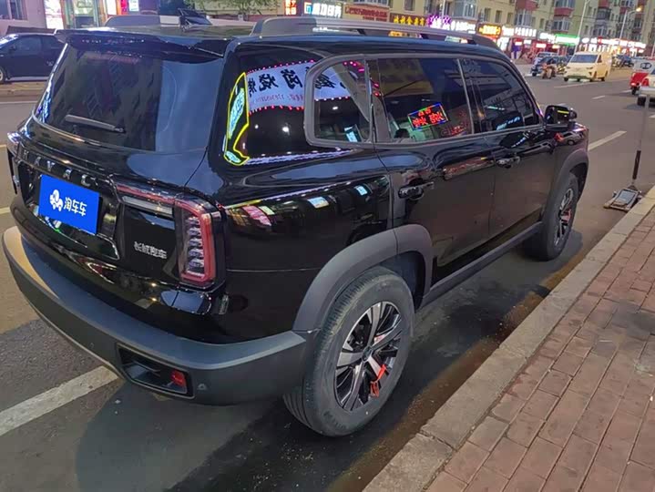 Фото 3 - Haval Dargo