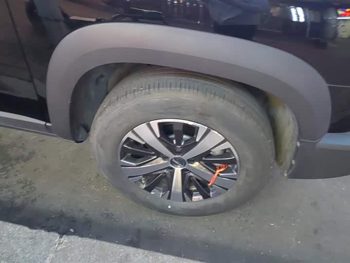 Фото 6 - Haval Dargo