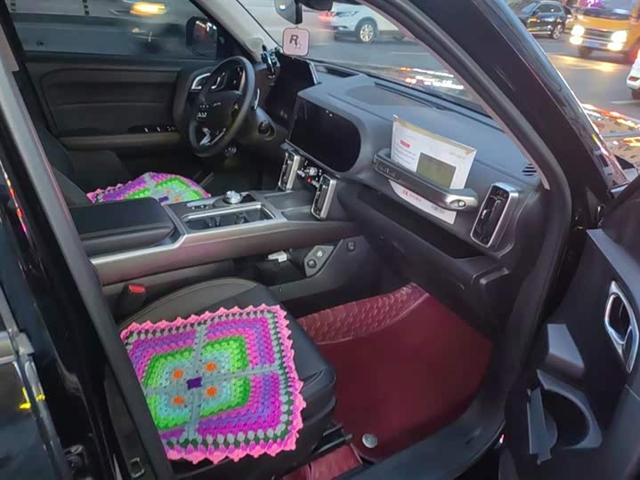 Фото 8 - Haval Dargo