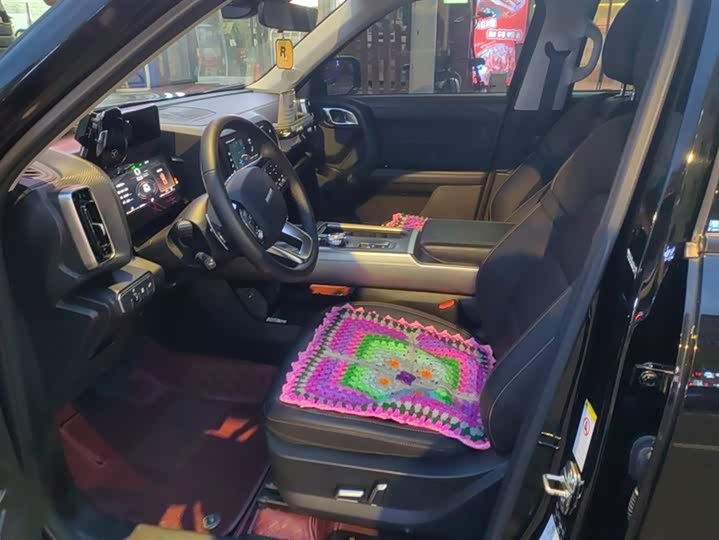 Фото 9 - Haval Dargo