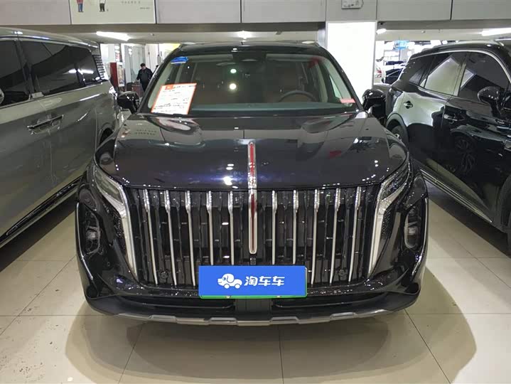 Фото 2 - Hongqi HS7 Hybrid