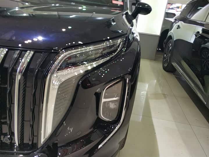 Фото 5 - Hongqi HS7 Hybrid