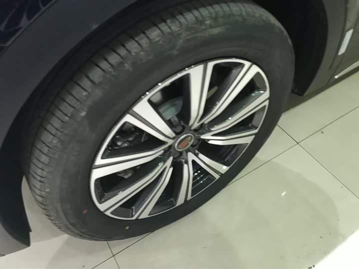 Фото 6 - Hongqi HS7 Hybrid