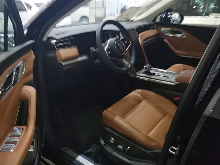 Фото 9 - Hongqi HS7 Hybrid