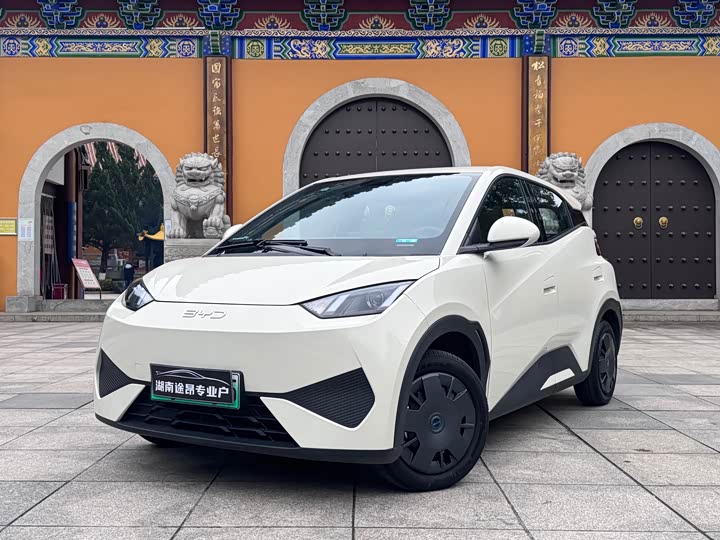 Фото 1 - BYD Seagull