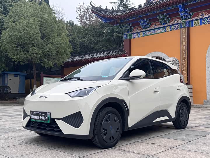 Фото 2 - BYD Seagull