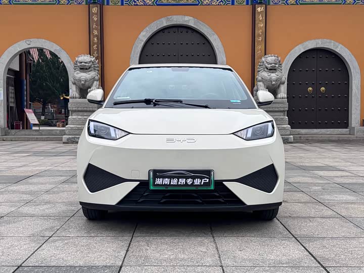 Фото 4 - BYD Seagull