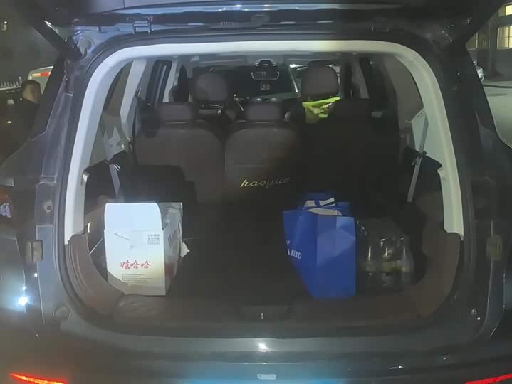 Фото 4 - Geely Okavango