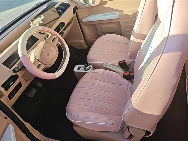 Фото 9 - Geely Galaxy Panda Mini