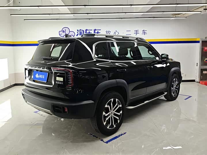 Фото 3 - Haval Dargo