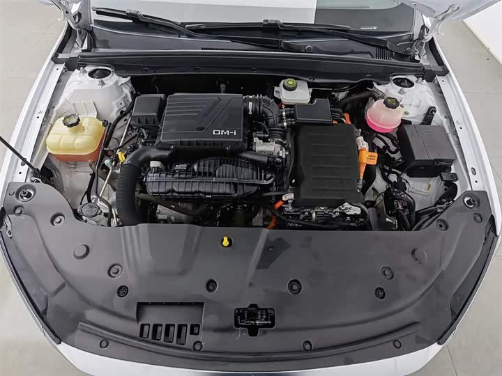 Фото 6 - BYD Qin Plus