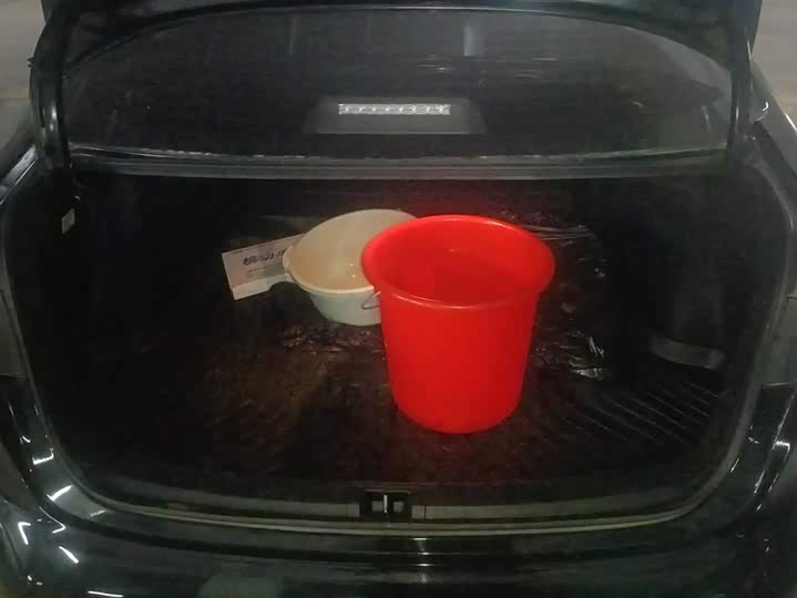 Фото 4 - Toyota Levin