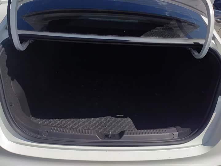 Фото 4 - GAC Trumpchi Empow R