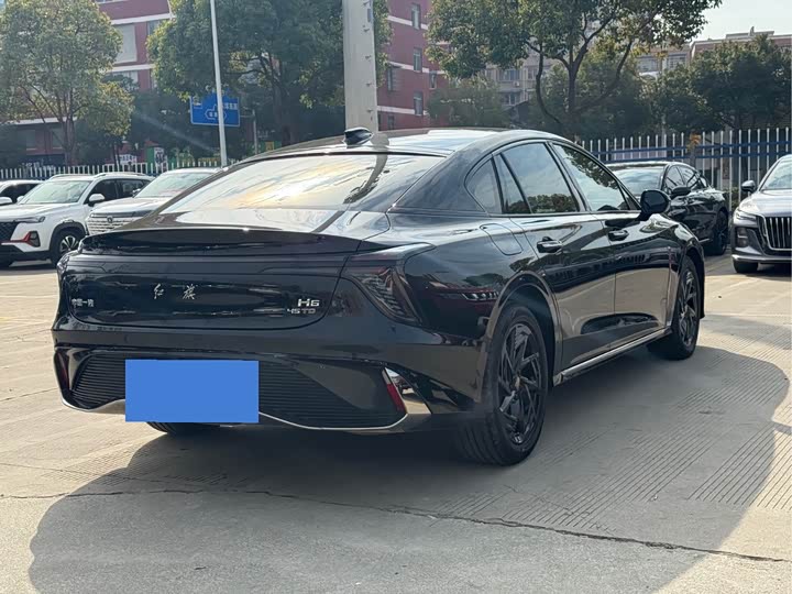 Фото 6 - Hongqi H6