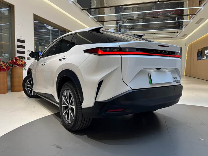 Фото 4 - Lexus RZ