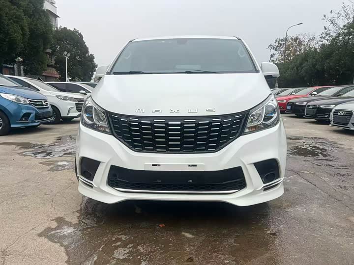 Фото 2 - Maxus G10