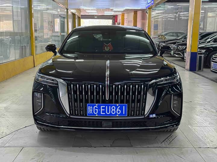 Фото 2 - Hongqi H9