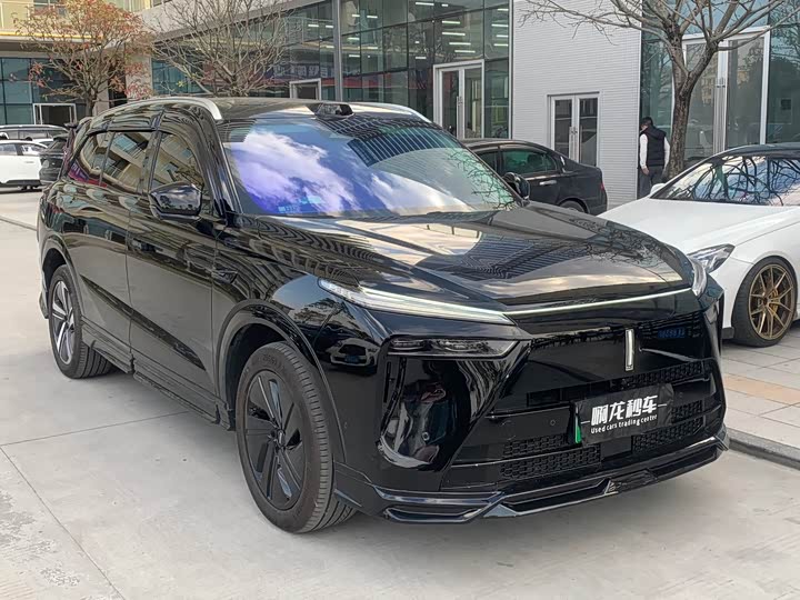 Фото 3 - Wey Lanshan